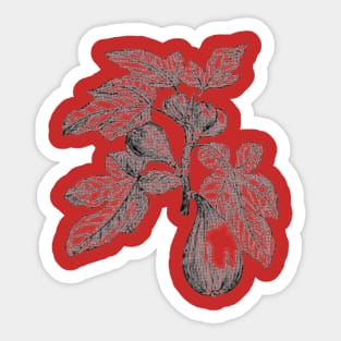 Fig Variant Sticker